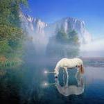 Unicorn Drinking From River - Fine Art Photograph..