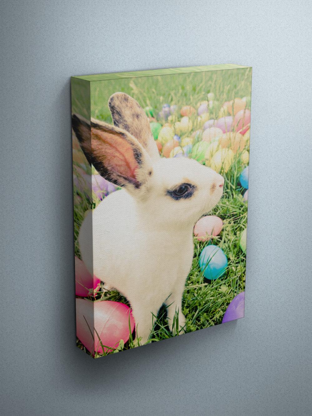 Easter Bunny - Fine Art Photograph On Gallery Wrapped Canvas - 16x12" & More
