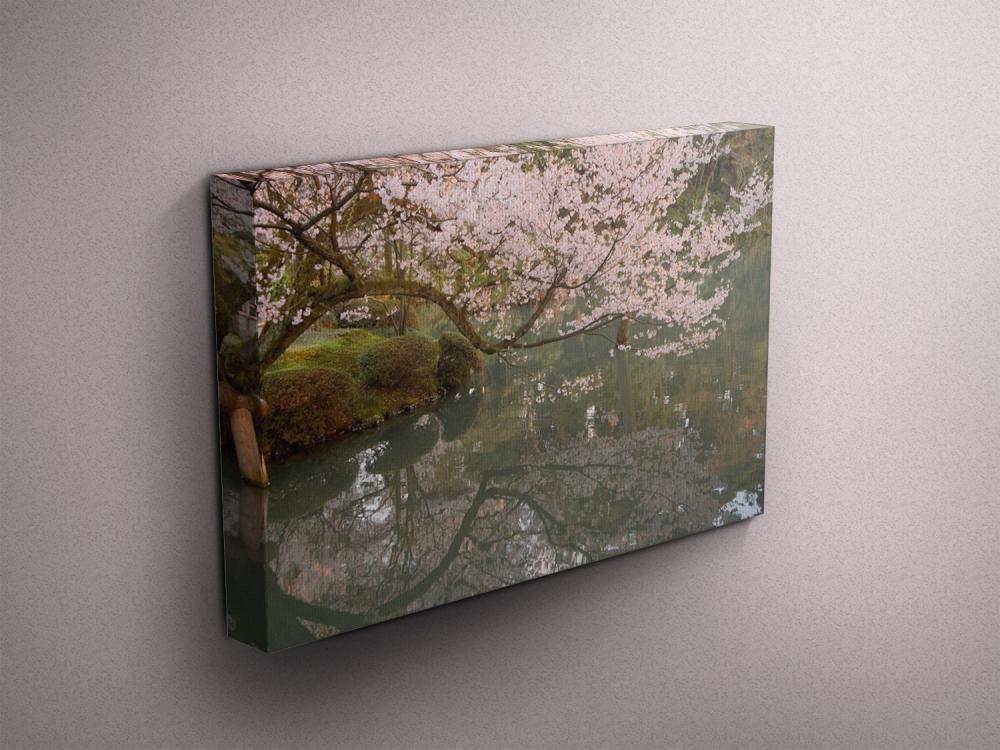 Cherry Blossoms - Fine Art Photograph On Gallery Wrapped Canvas - 16x12" & More