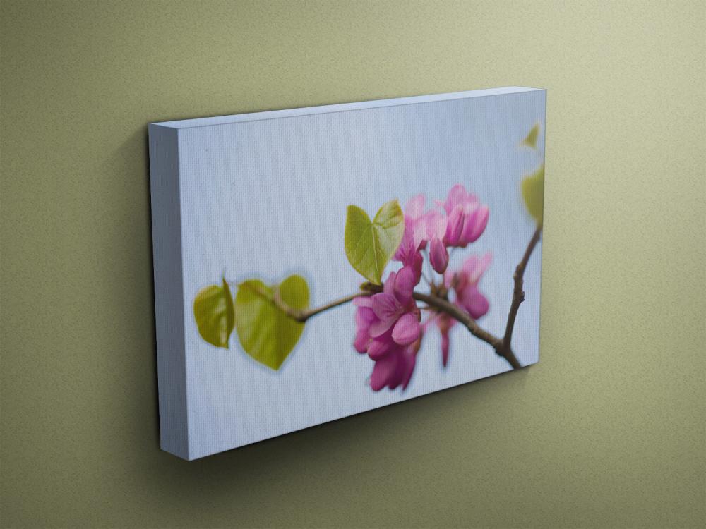 Pink Blossom - Fine Art Photograph On Gallery Wrapped Canvas - 16x12" & More