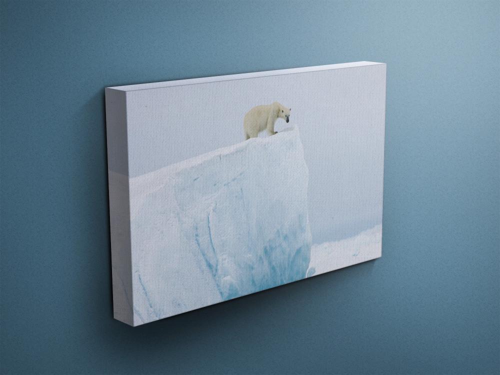 Polar Bear On Iceberg - Fine Art Photograph On Gallery Wrapped Canvas - 16x12" & More